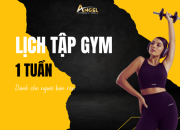 Lịch tập gym toàn thân trong 1 tuần cho người bận rộn
