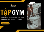 TẬP GYM – BƯỚC KHỞI ĐẦU CHO CƠ THỂ KHỎE MẠNH VÀ VÓC DÁNG LÝ TƯỞNG
