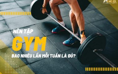 Nên Tập Gym Bao Nhiêu Lần Mỗi Tuần Là Đủ