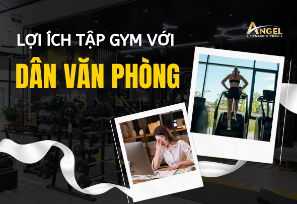 Lợi Ích Tập Gym Với Người Làm Văn Phòng